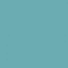 Μπλε Χρώμα αυτοκινήτου 1272A-FORD