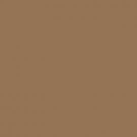 Μπεζ Χρώμα αυτοκινήτου 1295-FORD