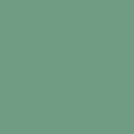 Πράσινο Χρώμα αυτοκινήτου 1362-FORD