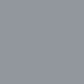 Γκρι Χρώμα αυτοκινήτου 150-TOYOTA