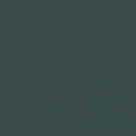 Γκρι Χρώμα αυτοκινήτου 1515-SKODA