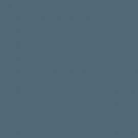 Μπλε Χρώμα αυτοκινήτου 1691-FORD