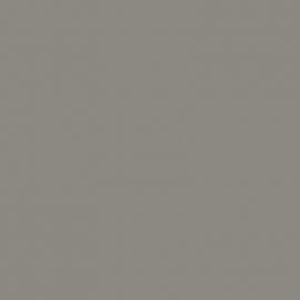 Γκρι Χρώμα αυτοκινήτου 172-OPEL