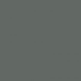 Γκρι Χρώμα αυτοκινήτου 184-BMW