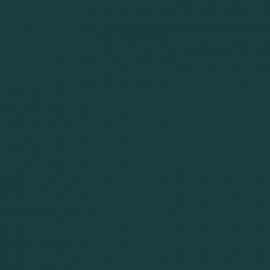 Πράσινο Χρώμα αυτοκινήτου 18N-FORD