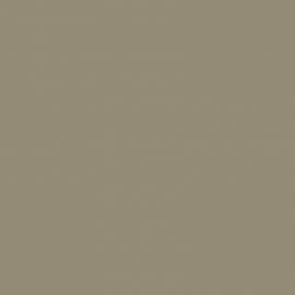 Μπεζ Χρώμα αυτοκινήτου 190-RENAULT