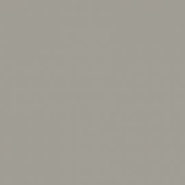 Γκρι Χρώμα αυτοκινήτου 1C5-TOYOTA