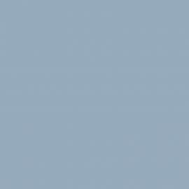 Γκρι Χρώμα αυτοκινήτου 1D0-TOYOTA