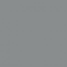 Γκρι Χρώμα αυτοκινήτου 1D4-TOYOTA