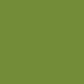 Πράσινο Χρώμα αυτοκινήτου 1GCEWHA-FORD