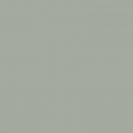 Γκρι Χρώμα αυτοκινήτου 1J1-TOYOTA