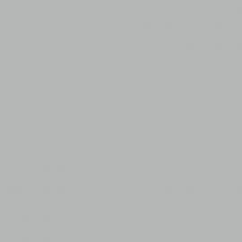 Γκρι Χρώμα αυτοκινήτου 1J2-LEXUS