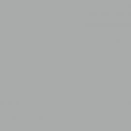 Γκρι Χρώμα αυτοκινήτου 1J4-LEXUS