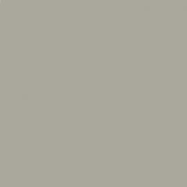 Γκρι Χρώμα αυτοκινήτου 1P-KIA