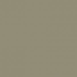 Πράσινο Χρώμα αυτοκινήτου 211-RENAULT