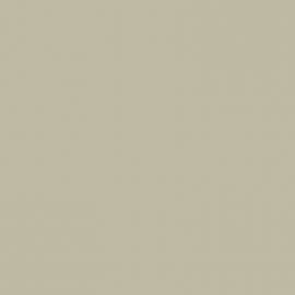 Γκρι Χρώμα αυτοκινήτου 2172-FORD