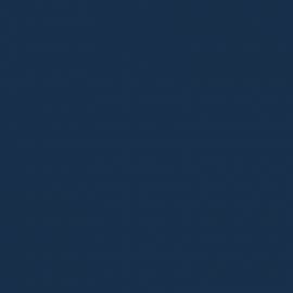 Μπλε Χρώμα αυτοκινήτου 22A-FORD