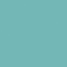 Μπλε Χρώμα αυτοκινήτου 22M-DAEWOO