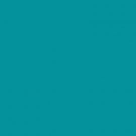 Μπλε Χρώμα αυτοκινήτου 2368-FORD