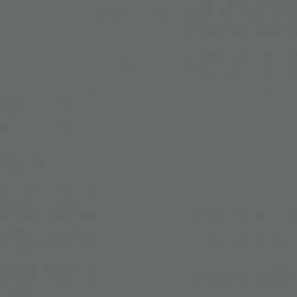 Γκρι Χρώμα αυτοκινήτου 2455-FORD