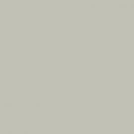 Γκρι Χρώμα αυτοκινήτου 2467-FORD