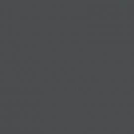 Γκρι Χρώμα αυτοκινήτου 262-RENAULT