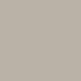 Γκρι Χρώμα αυτοκινήτου 2627-FORD