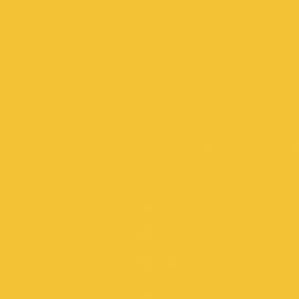 Κίτρινο Χρώμα αυτοκινήτου 2742-FORD