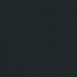 Μαύρο Χρώμα αυτοκινήτου 2743CM-FORD