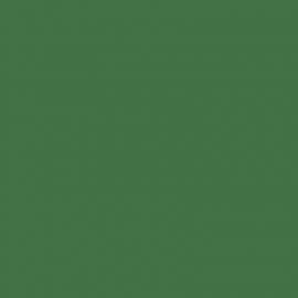 Πράσινο Χρώμα αυτοκινήτου 2812-FORD