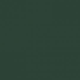 Πράσινο Χρώμα αυτοκινήτου 2KWCWWA-FORD