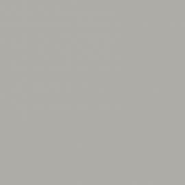 Γκρι Χρώμα αυτοκινήτου 2PKEWHA-FORD