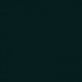 Πράσινο Χρώμα αυτοκινήτου 307-BMW