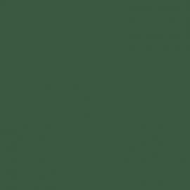 Πράσινο Χρώμα αυτοκινήτου 307/B-FIAT