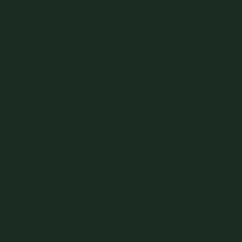 Πράσινο Χρώμα αυτοκινήτου 333/A-FIAT