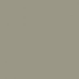 Γκρι Χρώμα αυτοκινήτου 348/B-FIAT