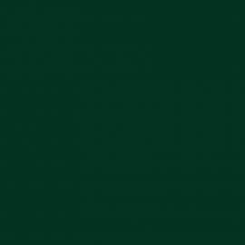 Πράσινο Χρώμα αυτοκινήτου 351/A-FIAT