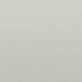 369, 221, Z09 NISSAN BLANC GLACIER