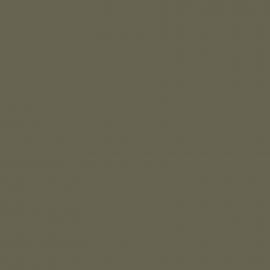 Πράσινο Χρώμα αυτοκινήτου 370/A-FIAT