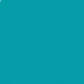 Μπλε Χρώμα αυτοκινήτου 37R-FORD