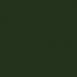 Πράσινο Χρώμα αυτοκινήτου 388/A-FIAT