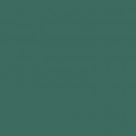 Πράσινο Χρώμα αυτοκινήτου 389/A-FIAT