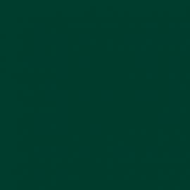 Πράσινο Χρώμα αυτοκινήτου 390/B-FIAT