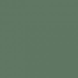 Πράσινο Χρώμα αυτοκινήτου 393-BMW