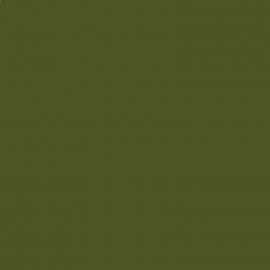 Πράσινο Χρώμα αυτοκινήτου 395-OPEL