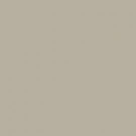 Γκρι Χρώμα αυτοκινήτου 3QNCWWA-FORD