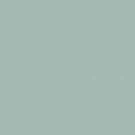 Πράσινο Χρώμα αυτοκινήτου 442-BMW