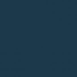 Μπλε Χρώμα αυτοκινήτου 449-RENAULT