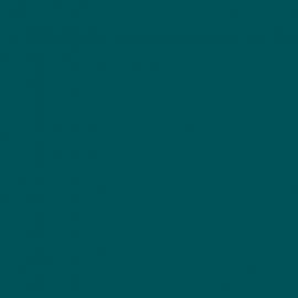 Πράσινο Χρώμα αυτοκινήτου 451-BMW