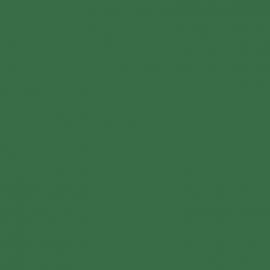 Πράσινο Χρώμα αυτοκινήτου 46U-DAEWOO